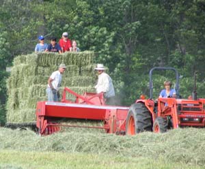 The many farms and gardens at Cobb Hill provide organic produce for all members plus enough to sell at local co-ops and farmstands.